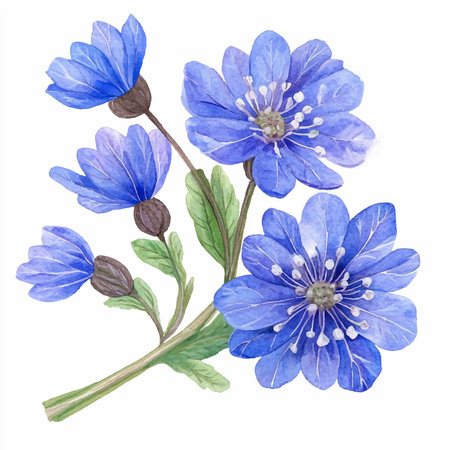 Watercolor blue flowers on a white background. Hand-drawn illustration.のイラスト素材