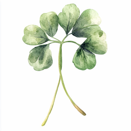 Watercolor illustration of clover. Isolated on white background.のイラスト素材