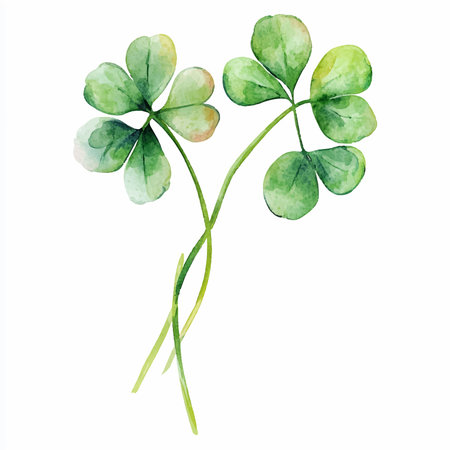 Watercolor illustration of green clover leaves isolated on white background.のイラスト素材