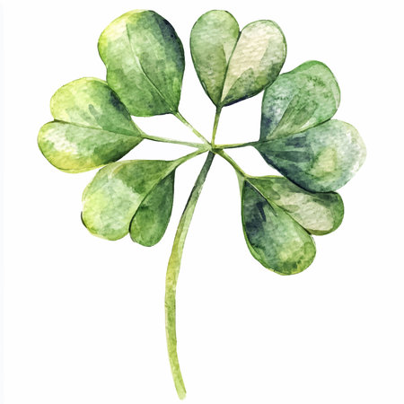Watercolor illustration of four-leaved clover isolated on white backgroundのイラスト素材