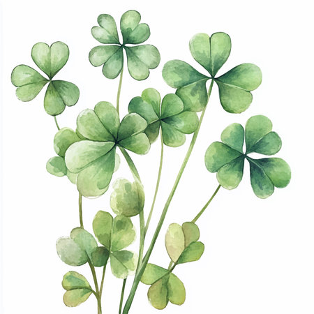 Watercolor illustration of four-leaf clover. Hand drawn illustration.のイラスト素材