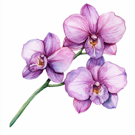 Watercolor purple orchid flowers. Hand drawn botanical illustration.のイラスト素材