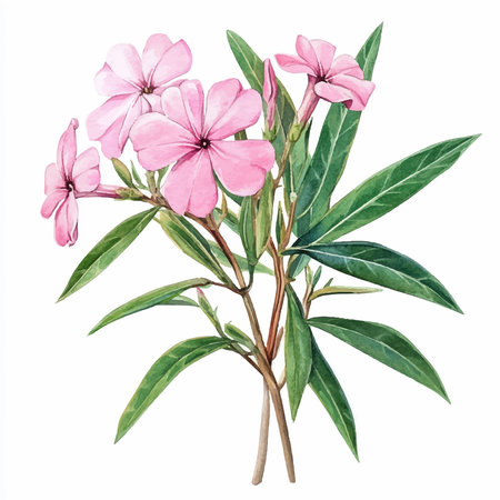 Pink flowers isolated on white background. Watercolor hand drawn illustration.のイラスト素材