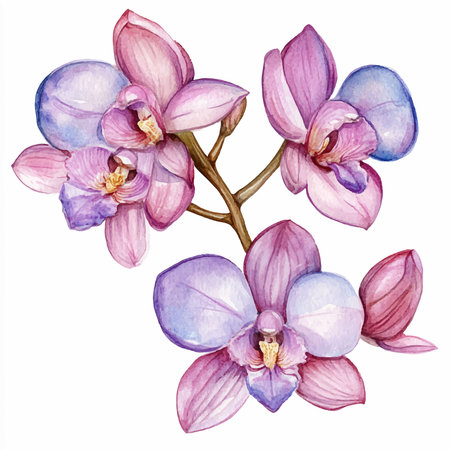 Watercolor orchid bouquet. Hand painted watercolor illustration.のイラスト素材