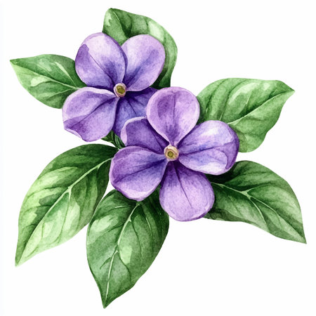 Purple flowers with green leaves on white background. Watercolor illustrationのイラスト素材