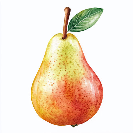 Watercolor illustration of a pear on a white background. Hand-drawn illustration.のイラスト素材