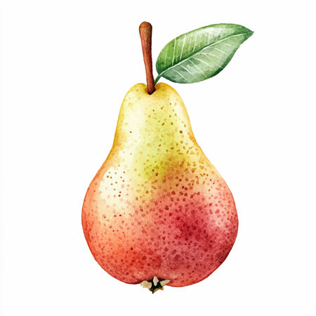 Watercolor pear isolated on white background. Hand-drawn illustration.のイラスト素材