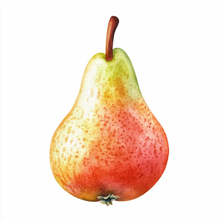 Watercolor pear isolated on white background. Hand drawn watercolor illustration.のイラスト素材