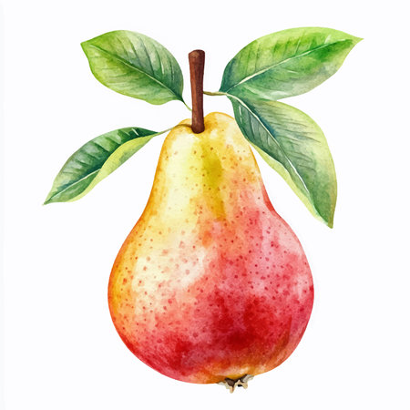 Watercolor illustration of a pear with leaves on a white background.のイラスト素材