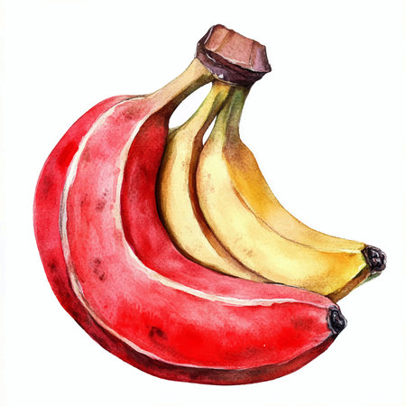 Watercolor illustration of bananas. Isolated on a white background.のイラスト素材