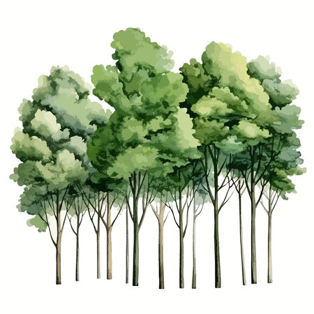 Trees in the forest. Watercolor illustration on white background.のイラスト素材