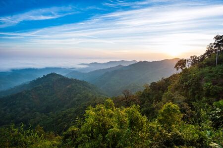 morning light among the forest on mountainの写真素材
