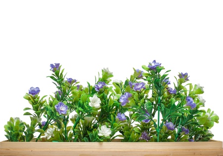 faked flower in basket with white backgroundの写真素材