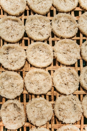 Rounded Rice drying by sunlightの写真素材