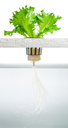 Phil Daley Iceberg hydro plantの写真素材