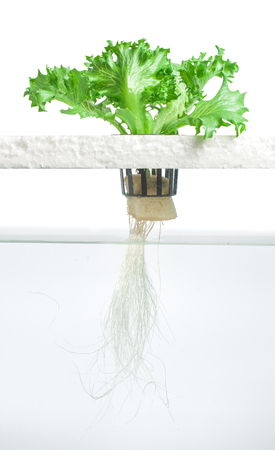 Phil Daley Iceberg hydro plantの写真素材