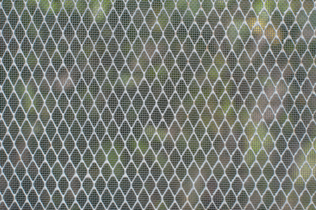 Mosquito wire screen patternの写真素材