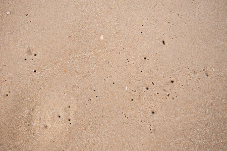 Beach Sand with Hole made by crabの写真素材