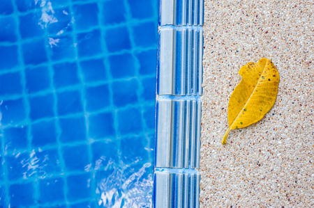 Yellow leaf and blue swimming poolの写真素材