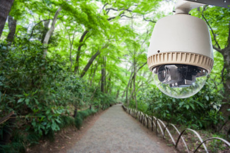 CCTV camera or surveillance operating in park or green gardenの写真素材