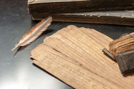 Ancient Treatise with bird featherの写真素材