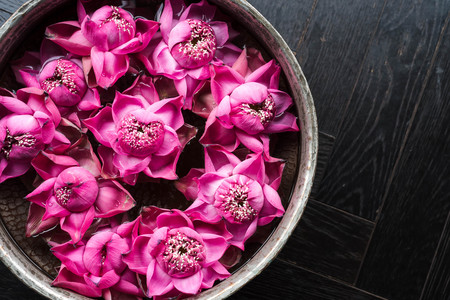 Beautiful pink lotus or water lily in bowl, flower decorationの写真素材