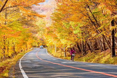 AOMORI, JAPAN - OCTOBER 27th, 2017: Scene of woman ride bicycle along the road with autumn red leaf in Aomori, Japan. Beautiful country side along the road great time for travel.のeditorial素材