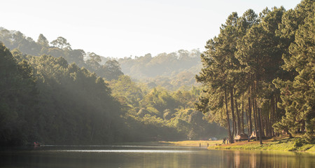 Pang Tong National park at Mae Hong Son province in Thailand with pine trees and lake in mountain, great place for campingの写真素材