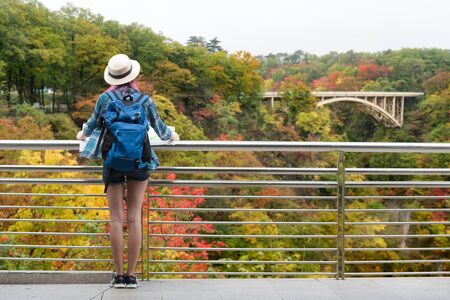 Westerner traveller woman with map in hand admiring view of atumn landscape in japanの写真素材