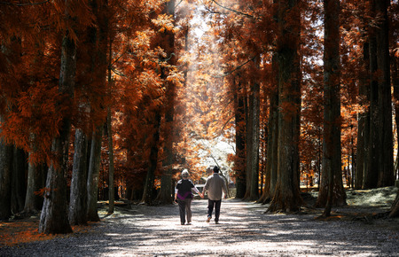 Elderly couple walk in park during fall seasonの写真素材