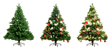 Christmas tree on white background three version, Pine with no decoration, decorated and lighten decorated christmas treeの写真素材