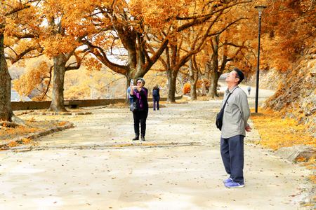 Elderly couple walk in park during fall seasonの写真素材