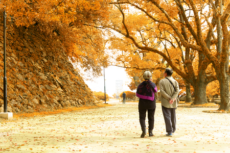 Elderly couple walk in park during fall seasonの写真素材