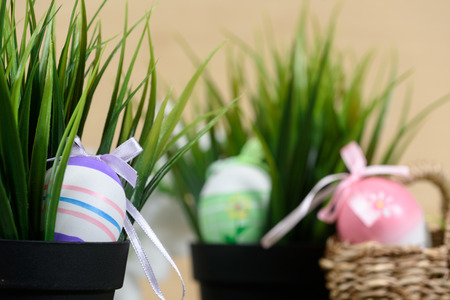 Decorative eggs hidden pot for Easter celebrationの写真素材