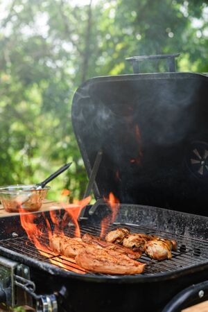 Roasted chicken drum stick, chest and sirloin beef with flame on charcoal stoveの写真素材