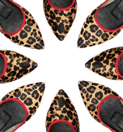 Leopard woman shoes on white background with space to insert your text hereの写真素材