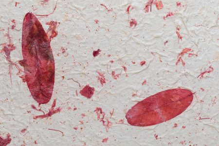 Handmade paper texture with recycled materials, tree leaves and cotton fibers. In delicate tones, reds, garnets and vanillaの写真素材