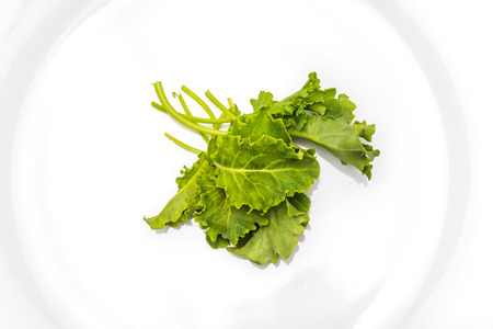 Buds of kale (cabbage). Salad with a rustic and healthy aspect. Isolated on white background.の写真素材