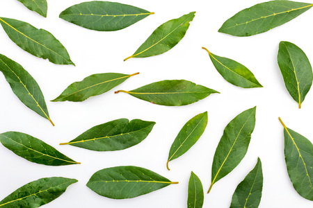 Texture of fresh and dry laurel leaves. Isolated on white background.の写真素材