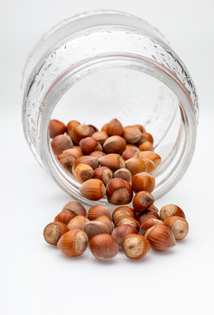 Hazelnuts in glass jar. Isolated on white background.の写真素材