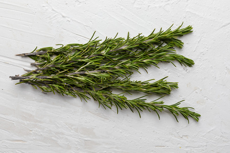 Branches of fresh rosemary and green. On white textured background.の写真素材