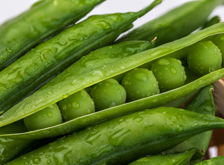 Green peas, tender, very fresh (with drops of water) and raw. Foreground.