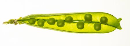 Green peas, tend and very fresh (with drops of water). Isolated on white background.