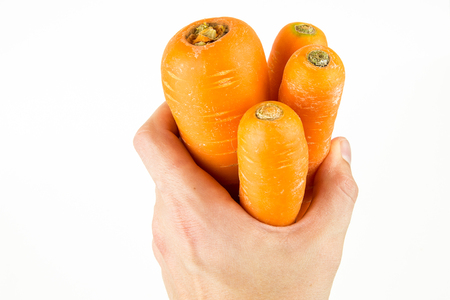 human hand holding a fresh carrot. Healthy food, dietの写真素材