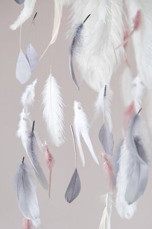 Interior decoration feathers. Air and gentle photo zone. Soft focus.の写真素材
