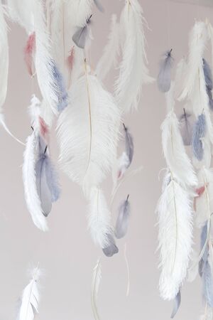 Interior decoration feathers. Air and gentle photo zone. Soft focus.の写真素材