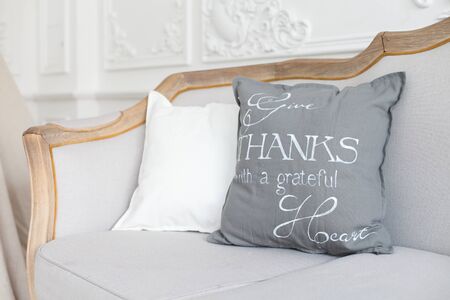 Set of pillows on classic sofa in modern living room interior.の写真素材