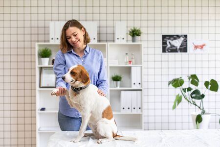 Happy dog with its owner in a veterinary clinic at the doctors office. Close up. Soft focus.の写真素材