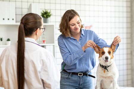 Funny dog with the owner at the reception at the vet. Blurred background of veterinary clinic.の写真素材