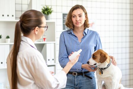 The veterinarian and the owner of the dog discuss the treatment of the dog. Veterinary clinic.の写真素材